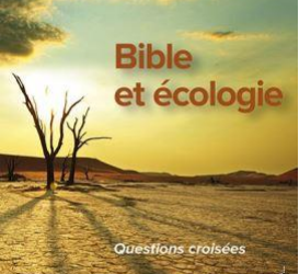 Samedi 17 février 2024 soirée pour réfléchir ensemble à « Bible et écologie »